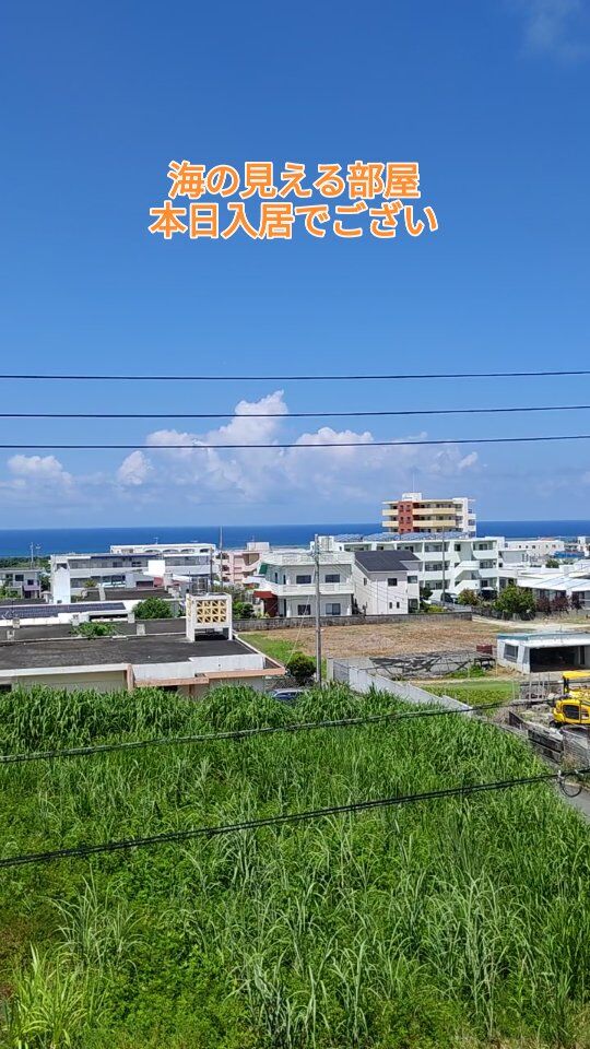 Y♢771 Okinawan SRIXON 特注 単品1本から スリクソン ZXi5 / ZXi7 アイアン N.S.PRO